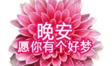晚安，早点睡_400字