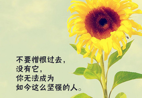 对不起，我不是那么强大的_800字