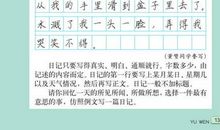 一堂有趣的体育课_650字