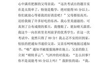 我的高中三年_500字