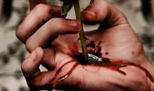 握紧着玫瑰_200字