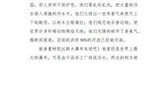 写给地球先生的信_450字