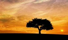 孤独，一种情绪_800字