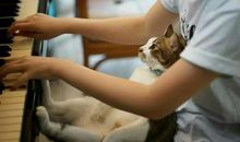 特立独行的少年_450字