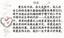 关于母爱的作文：悠悠寸草心浓浓春晖情_600字