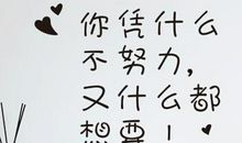 凭啥不努力_350字