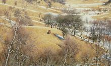 关于母爱的作文：暖冬_600字