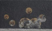 生命的痕迹_400字