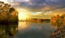 浑浊世界，何觅净土_450字