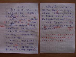 五天_500字