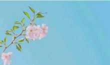 听说你要回来_400字