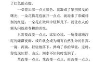 美丽普陀我的家_500字