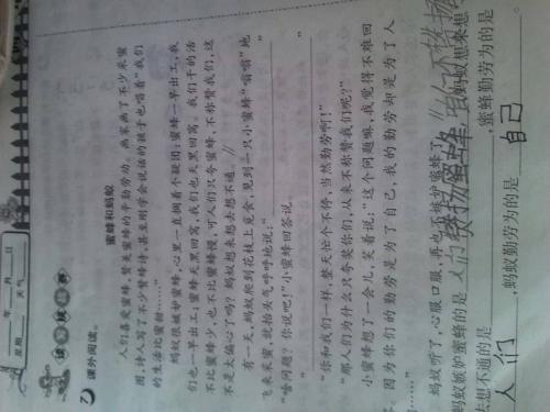 蚂蚁的一封信_200字