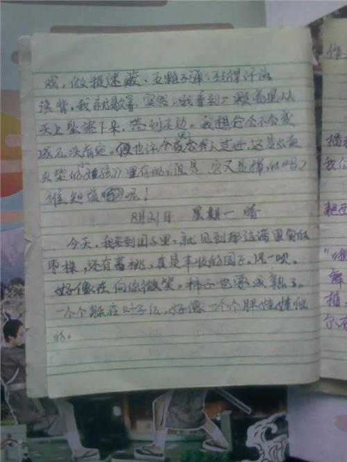 暑假，那些回忆_500字