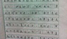 关于同学的作文：小毛同学_550字