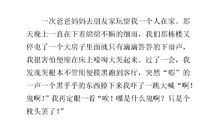 那是一次勇敢的尝试_400字