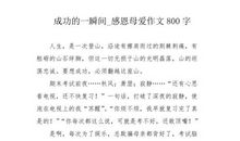 关于母爱的作文：伟大的母爱_800字