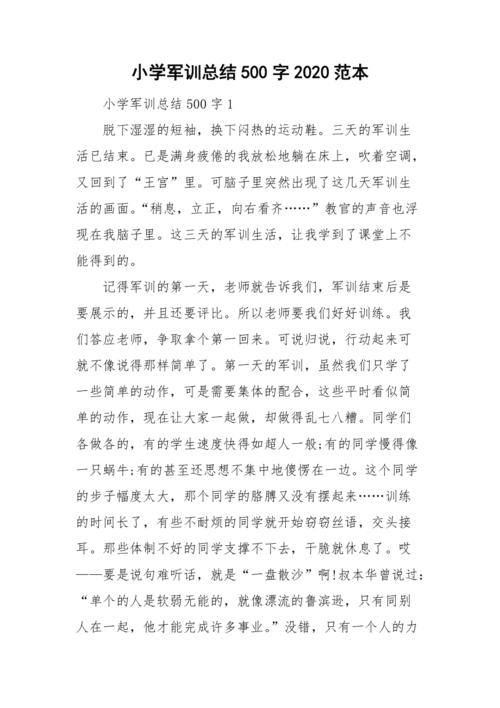 我是一个小记者_500字