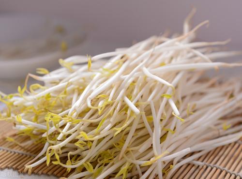 威胁的作品：我爱高州豆芽粉_1200字