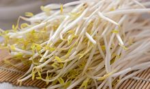 初三状物作文：我爱高州豆芽粉_1200字