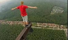 一只患有恐高症的鸟