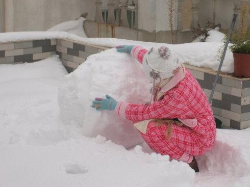 2009年的第一雪_500字