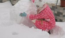 2009年的第一场雪_500字