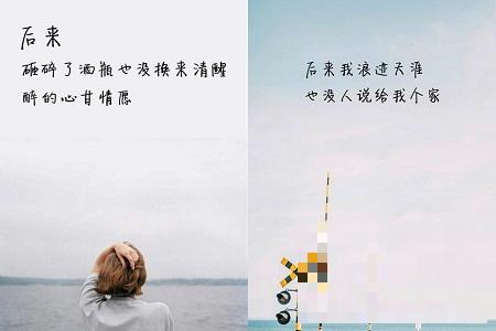 不能爱你_900字
