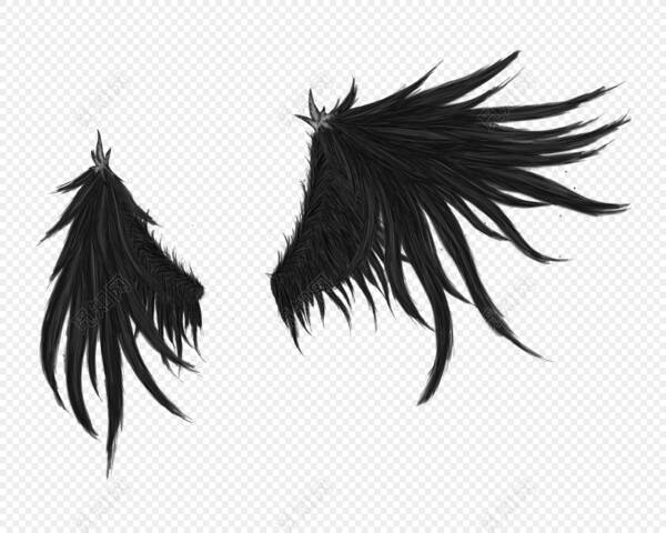 没有羽毛翅膀_500字