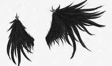 没有羽毛的翅膀_500字