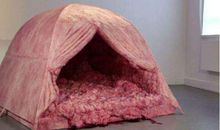 成功的挑战了自己_550字