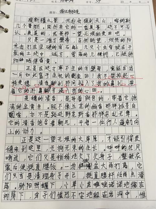 [3月文论]写作明天_800字