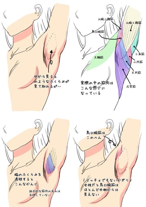 最关注我_650字