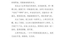 我爱你，回忆_300字