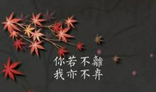 你若无言，我亦无声_1200字