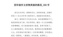 三年级状物作文：橡皮擦_350字