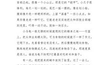 三年级状物作文：玫瑰_500字