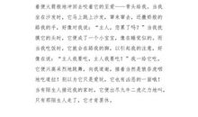 三年级状物作文：我的同学洋娃娃_650字