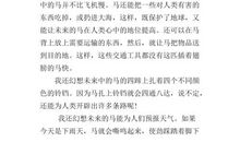 关于马的作文：未来的马_400字