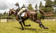 关于马的作文：骑马_750字