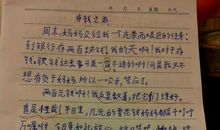 我的母亲_450字