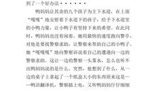 说“精彩”的妈妈_350字