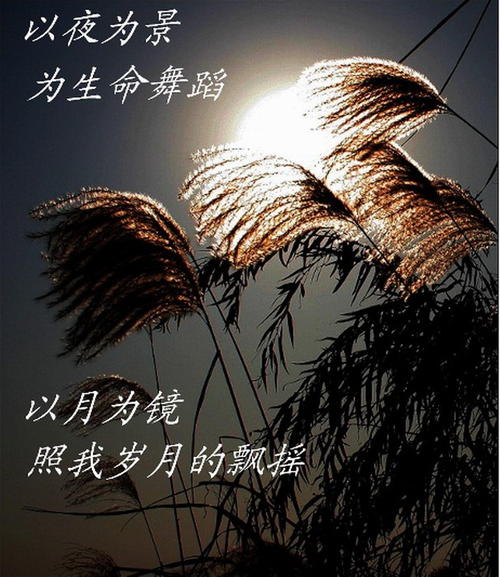 [四月录制]只输掉，只知道如何珍惜... _750字