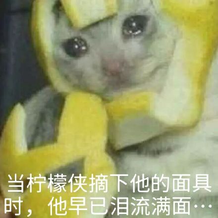 mask_1200单词下的另一个表达式