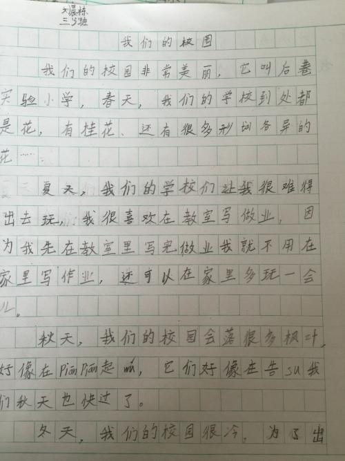妈妈是最美丽的_600字