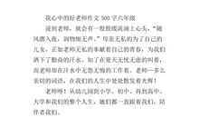 我的“严”老师_500字