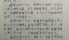 感动的泪水_700字