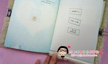 日记本中的一页_900字