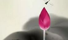 红莲之夏（Ⅰ）夏夜的璀璨——楔子_2000字