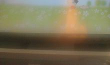 校园是我家，人人爱护它_550字